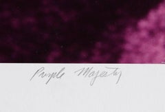 Maestà viola, fotografia surrealista di Michael DeCamp, circa 1975