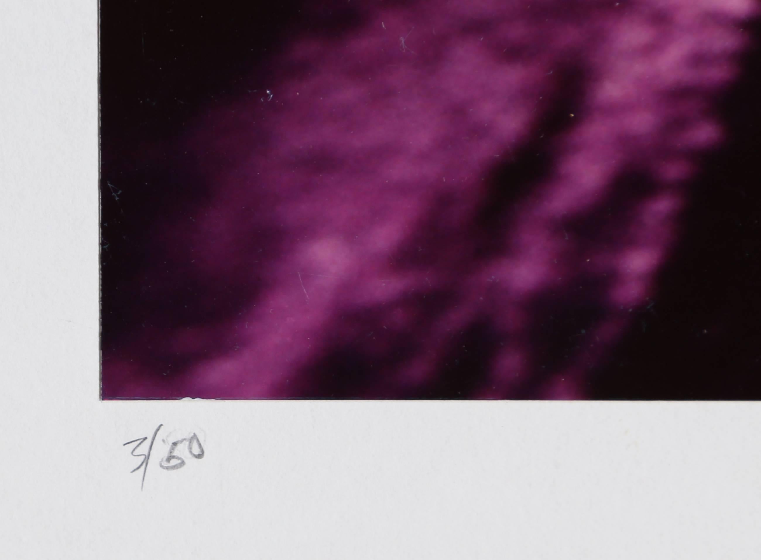 Lila Majestät, surrealistische Fotografie von Michael DeCamp, ca. 1975 im Angebot 2