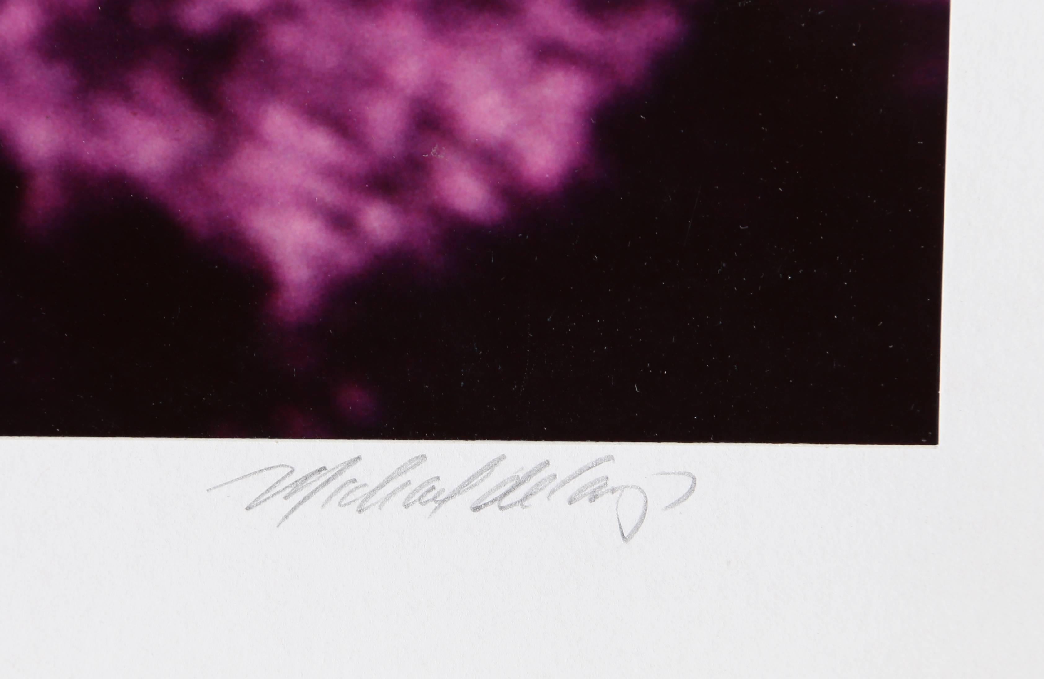 Lila Majestät, surrealistische Fotografie von Michael DeCamp, ca. 1975 im Angebot 3