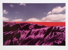 "Purple Majesty," Photograph, circa 1975