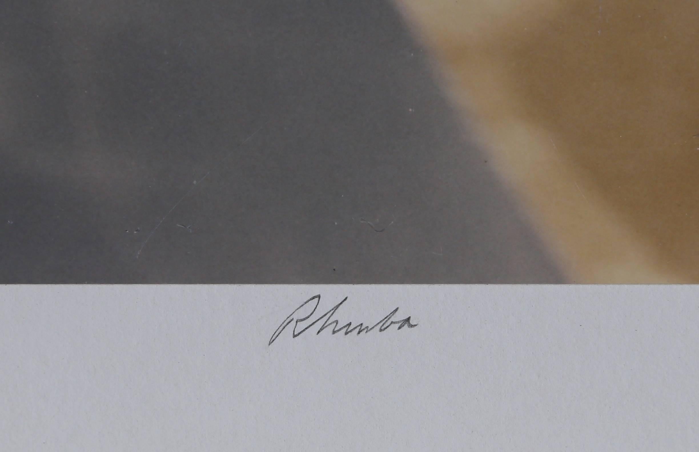 Rhumba, Farbfotografie von Michael DeCamp im Angebot 1