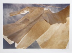 Vintage Rhumba, Color Photograph by Michael DeCamp