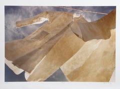 Rhumba, Fotografía en color de Michael DeCamp