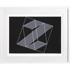untitled 'Z' from Formulation: Articulation 11