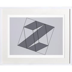 untitled 'Z' from Formulation: Articulation 12