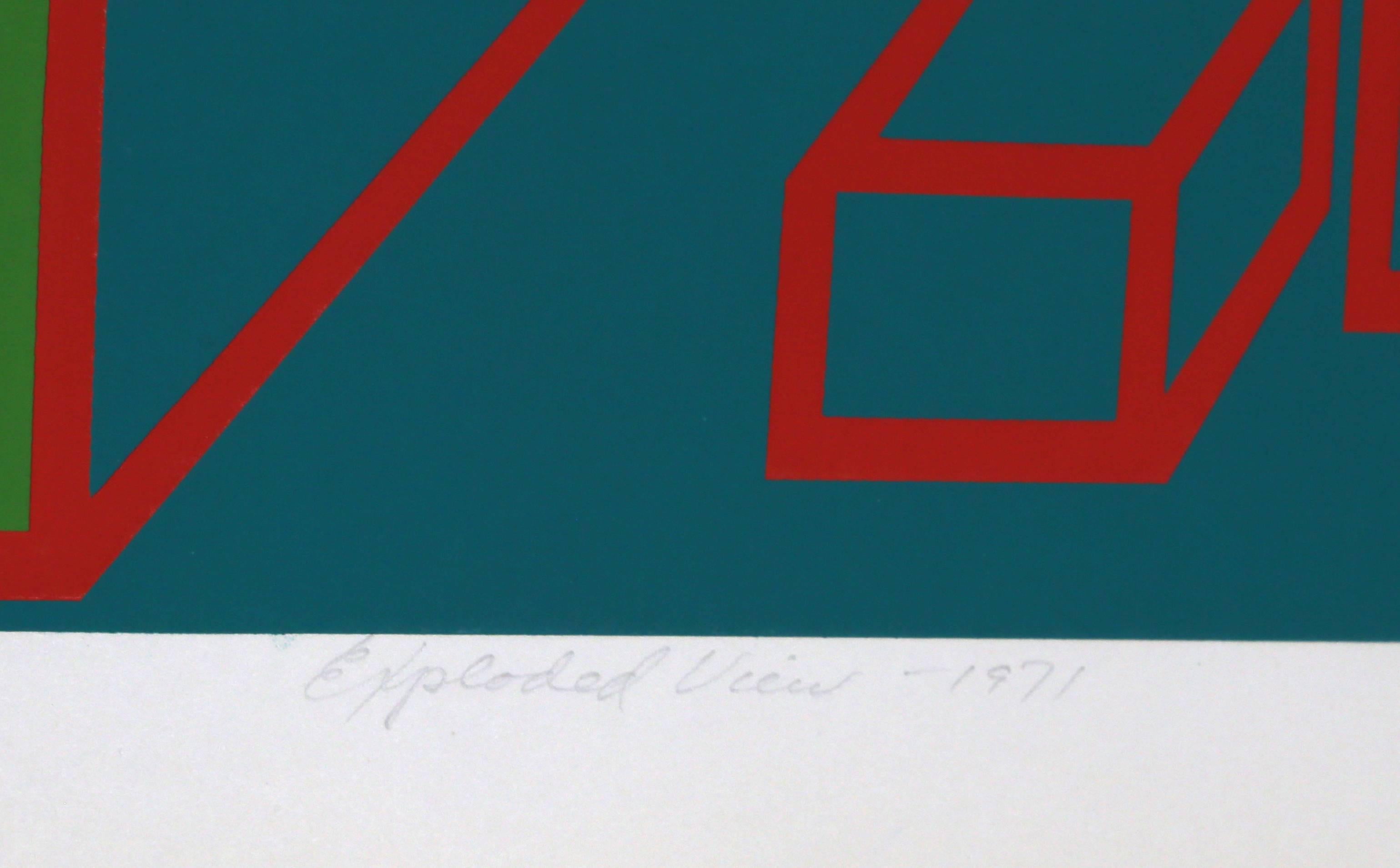 Vista esplosa, serigrafia geometrica astratta di Roy Ahlgren in vendita 2