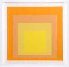 Interaction of Color: Homage to the Square