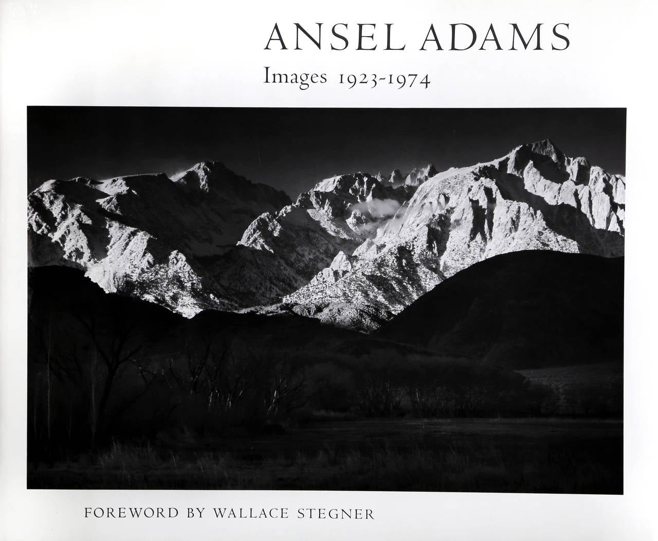 Fern Spring, Dusk - Photograph by Ansel Adams