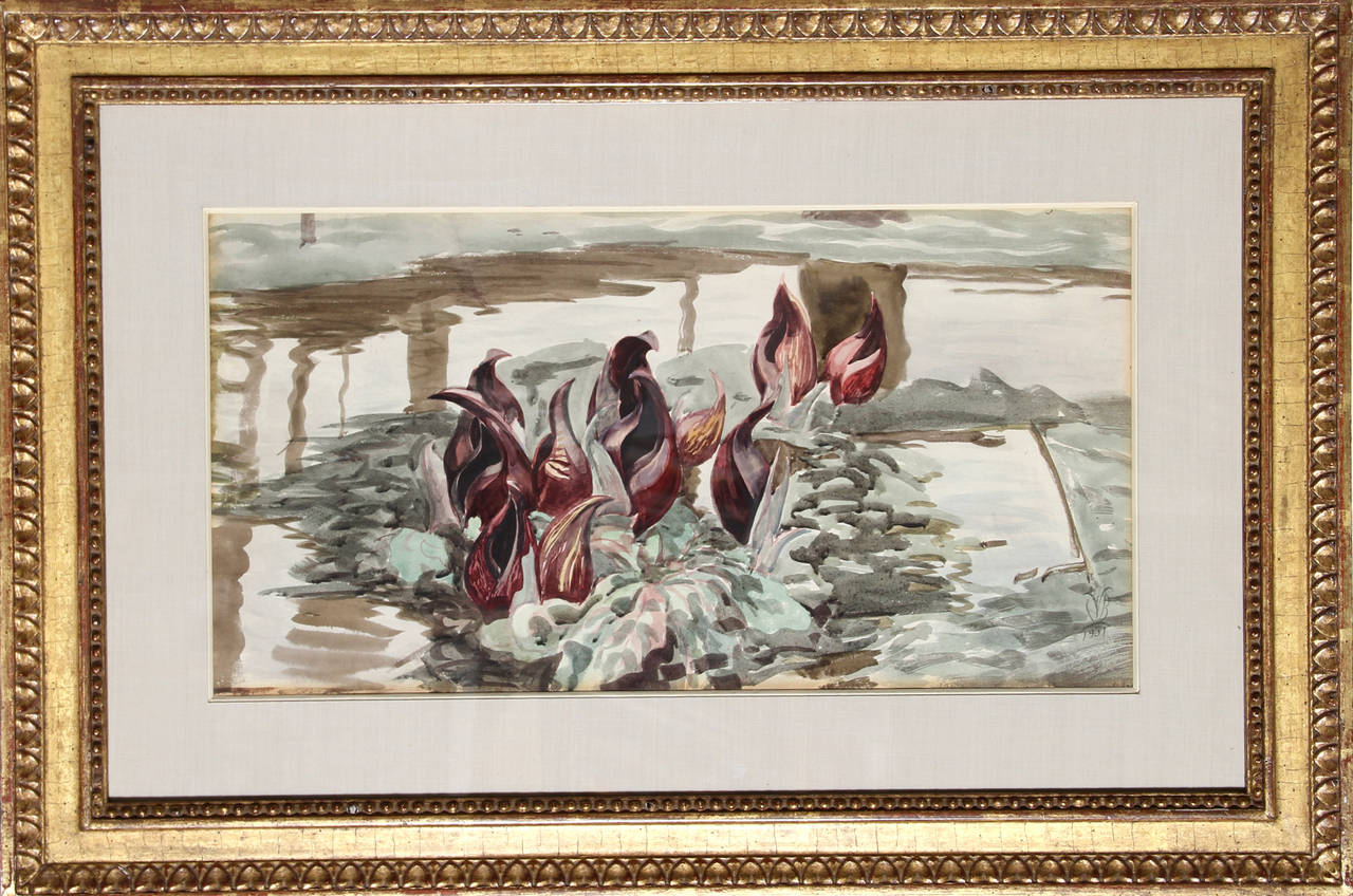 Study for Skunk Cabbage, Watercolor Painting by Charles Burchfield 1931