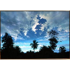 Wordsworth in the Tropics 6