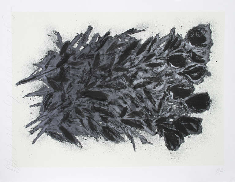 Donald Sultan Still-Life Print - Black Roses