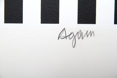 Messaggio di pace, serigrafia geometrica Op Art di Yaacov Agam