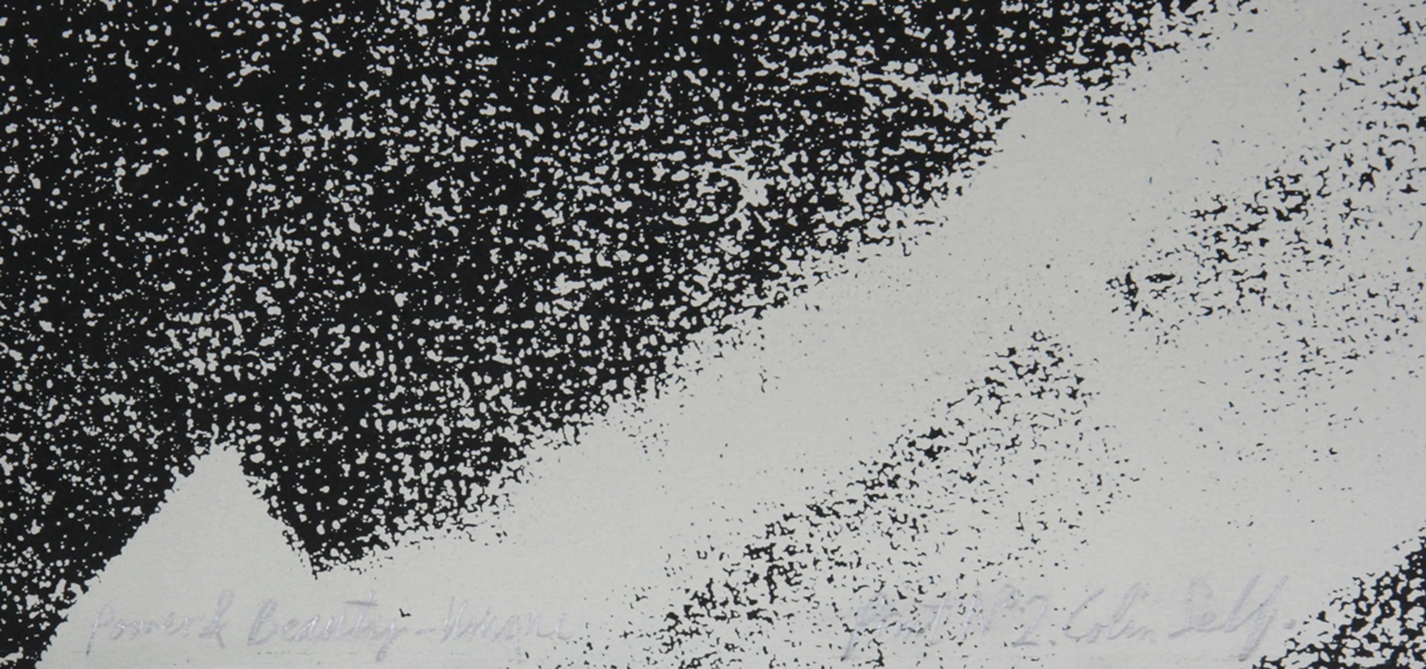 Power and Beauty - Unique Print No. 2, Screenprint by Colin Self For Sale 1