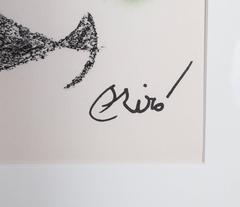 Maravillas con Variaciones Acrosticas en el jardin de Miro (Number 14)