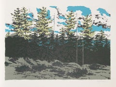 Da “Zeke’s Place” (Paesaggio del Maine), litografia firmata da Neil Welliver