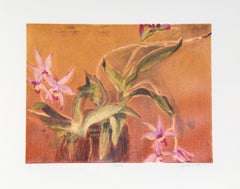 Laelia, stampa autografata di Sylvia Roth