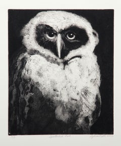 Gufo dagli occhiali, stampa contemporanea firmata da Sylvia Roth