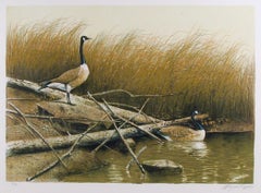 «Willow Slew», litografía firmada por Wayne Cooper