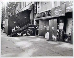 « Deli new-yorkais avec des chiens », tirage argentique représentant du street art, par Peter Mayer