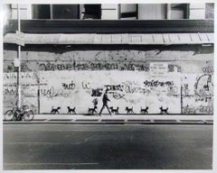 New York : appartements à louer acceptant les chiens, tirage argentique « Street Art » de Peter Mayer