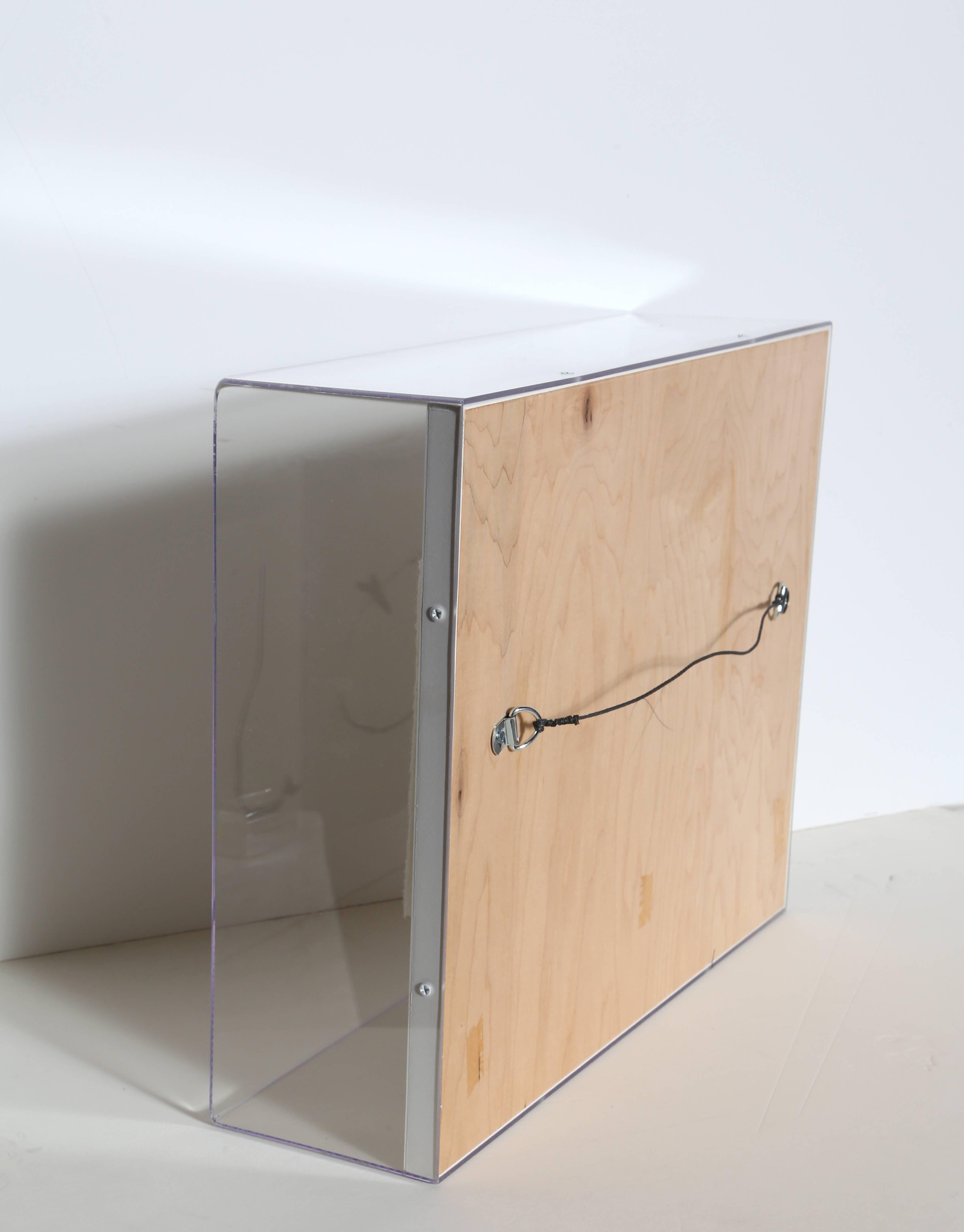 Diese handgefertigte Papierskulptur und Lithografie in Plexiglasbox des britischen Modernisten Sir Anthony Caro (1924-2013) ist eine minimalistische Darstellung der biblischen Geschichte von Adam und Eva.  Signiert und nummeriert in Bleistift Mitte.