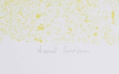 Ovograph, OP Art Geometric Abstract Screenprint by David Simpson