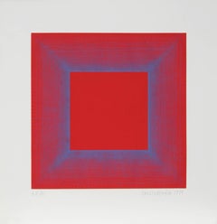 Summer Suite (Red with Blue)