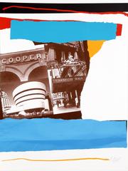 New York, New York - Cultural Institutions 9