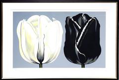 Black and White Tulips