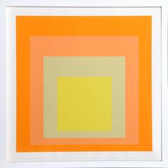 Interaction of Color: Homage to the Square