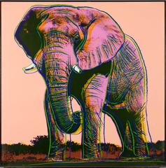 African Elephant, Endangered Species, F&S II.293