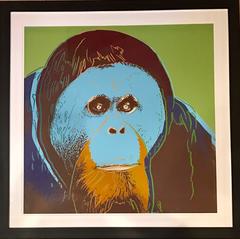 Orangutan, Endangered Species F&S IIB. 299