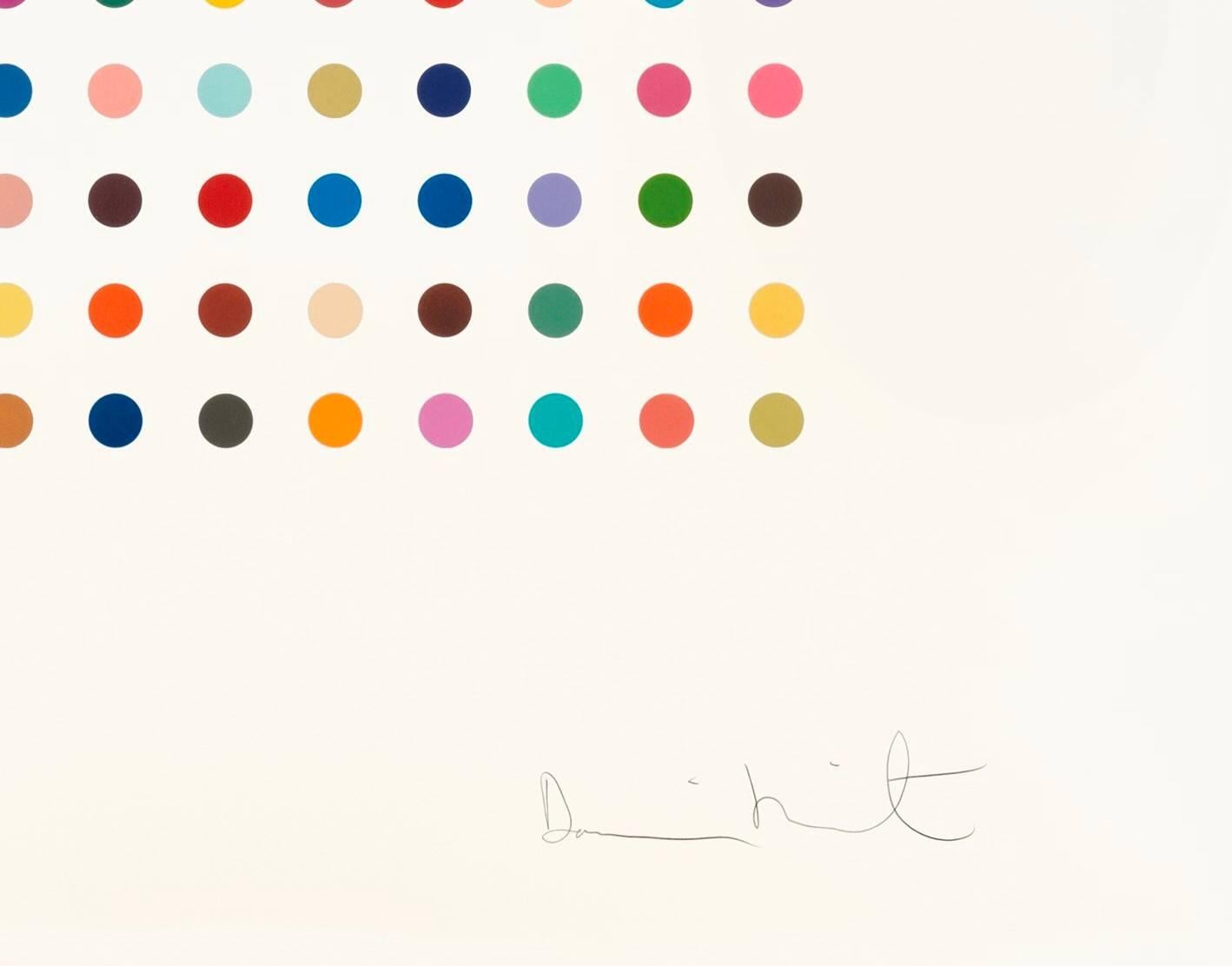 damien hirst ethidium bromide aqueous solution