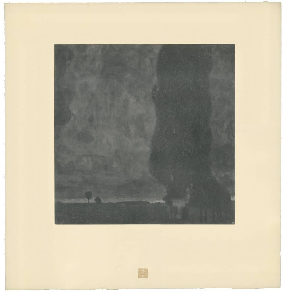 Gustav Klimt & K.K. Hof-und Staatsdruckerei Landscape Print – Das Unternehmen: H.O. Miethke Das Werk Folio „The Great Poplar II (Dunsturm)“ Collotypdruck