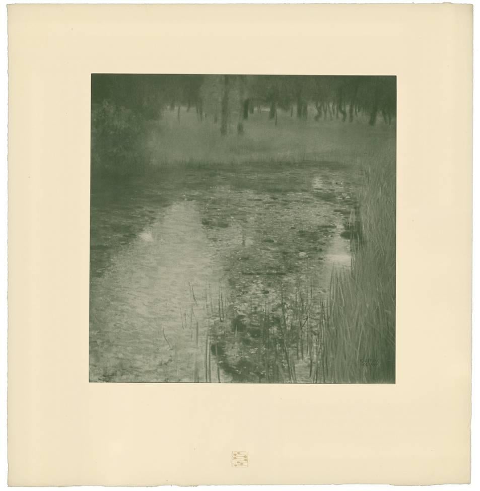 Gustav Klimt & K.K. Hof-und Staatsdruckerei Landscape Print - H.O. Miethke Das Werk folio "The Swamp" collotype print