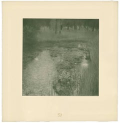 H.O. Miethke Das Werk folio "The Swamp" collotype print