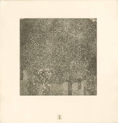 H.O. Impression collotype « Rose » de Miethke Das Werk