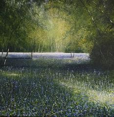 Bluebell Forest Landscape Paintings