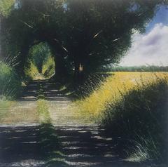 Path and Shadows original landscape painting 