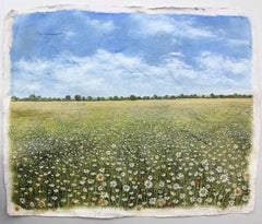 Daisy Field original floral landscape painting