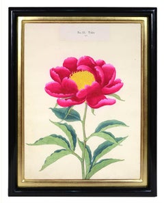 19th Century Prints and Multiples