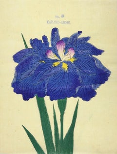 Antique Japanese Iris