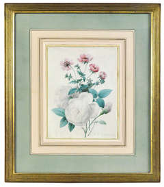 White rose with other flowers. Floral watercolour on vellum.