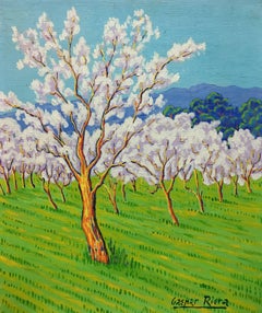 Almond Blossom