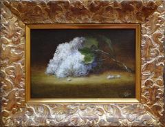 Lilacs in Spring