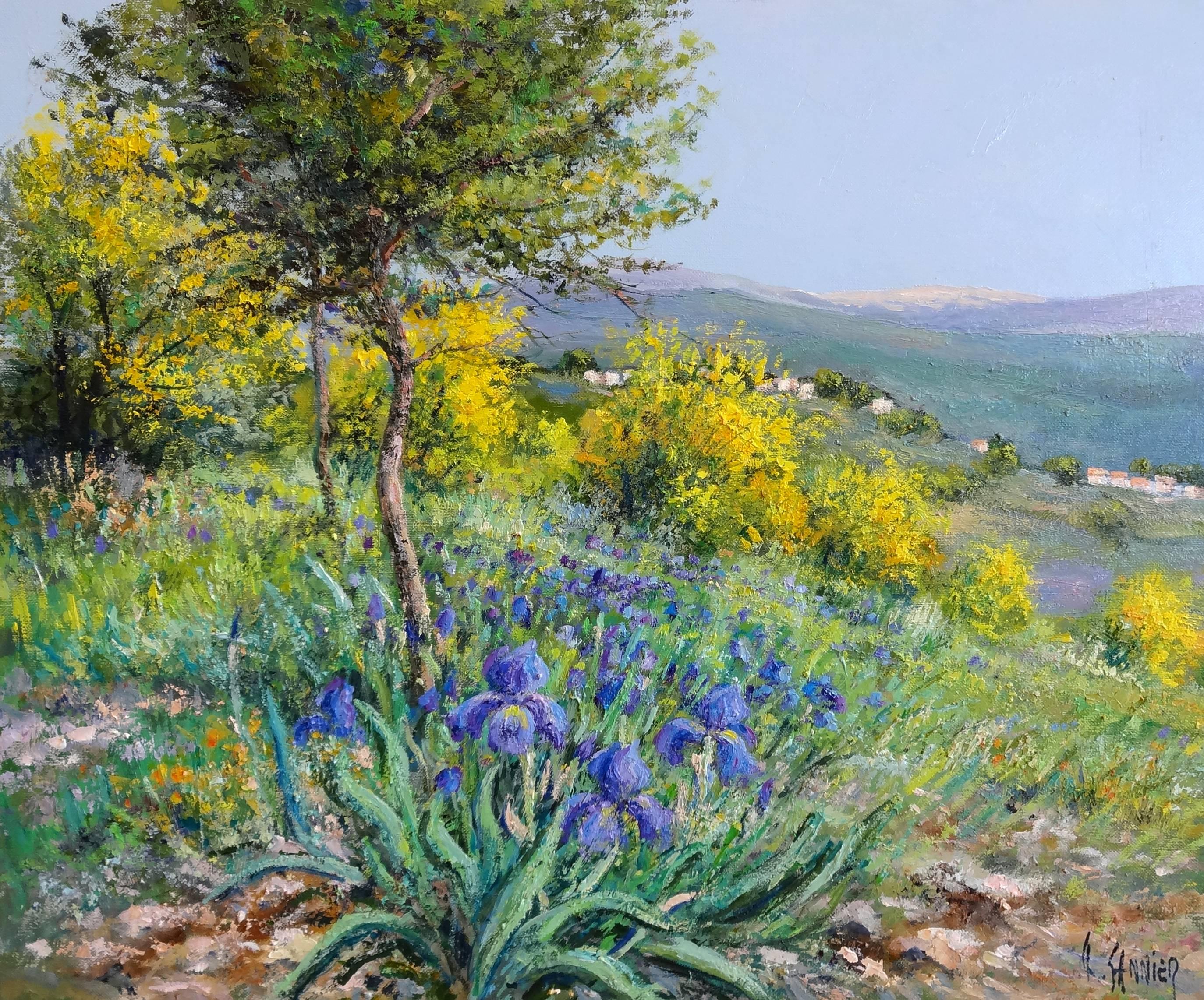Daniel Sannier Landscape Painting - Mimosas dans le Tanneron (Provence)