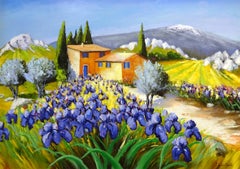 Iris au Ventoux, Iris