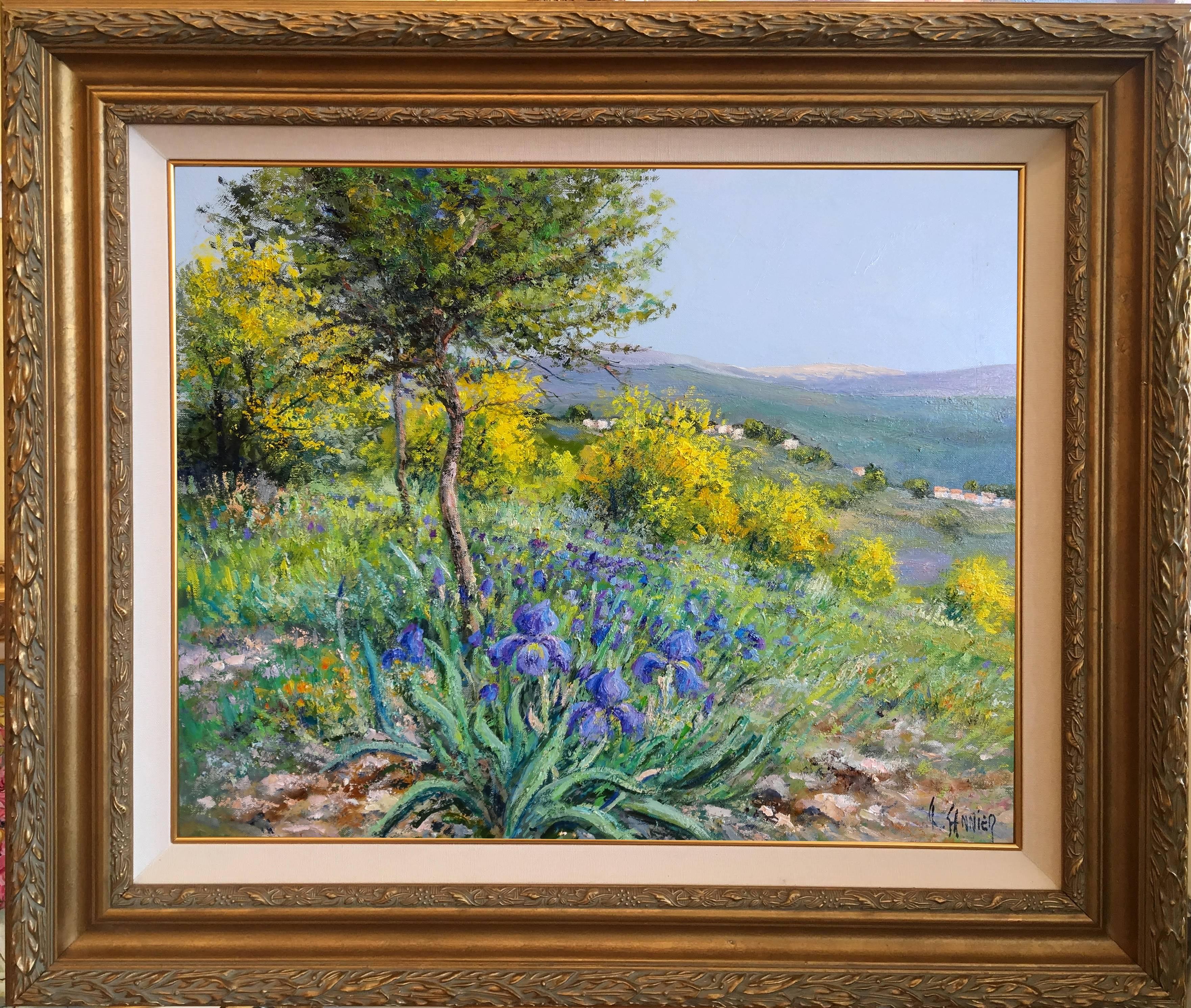 Mimosas dans le Tanneron (Provence) - Painting by Daniel Sannier