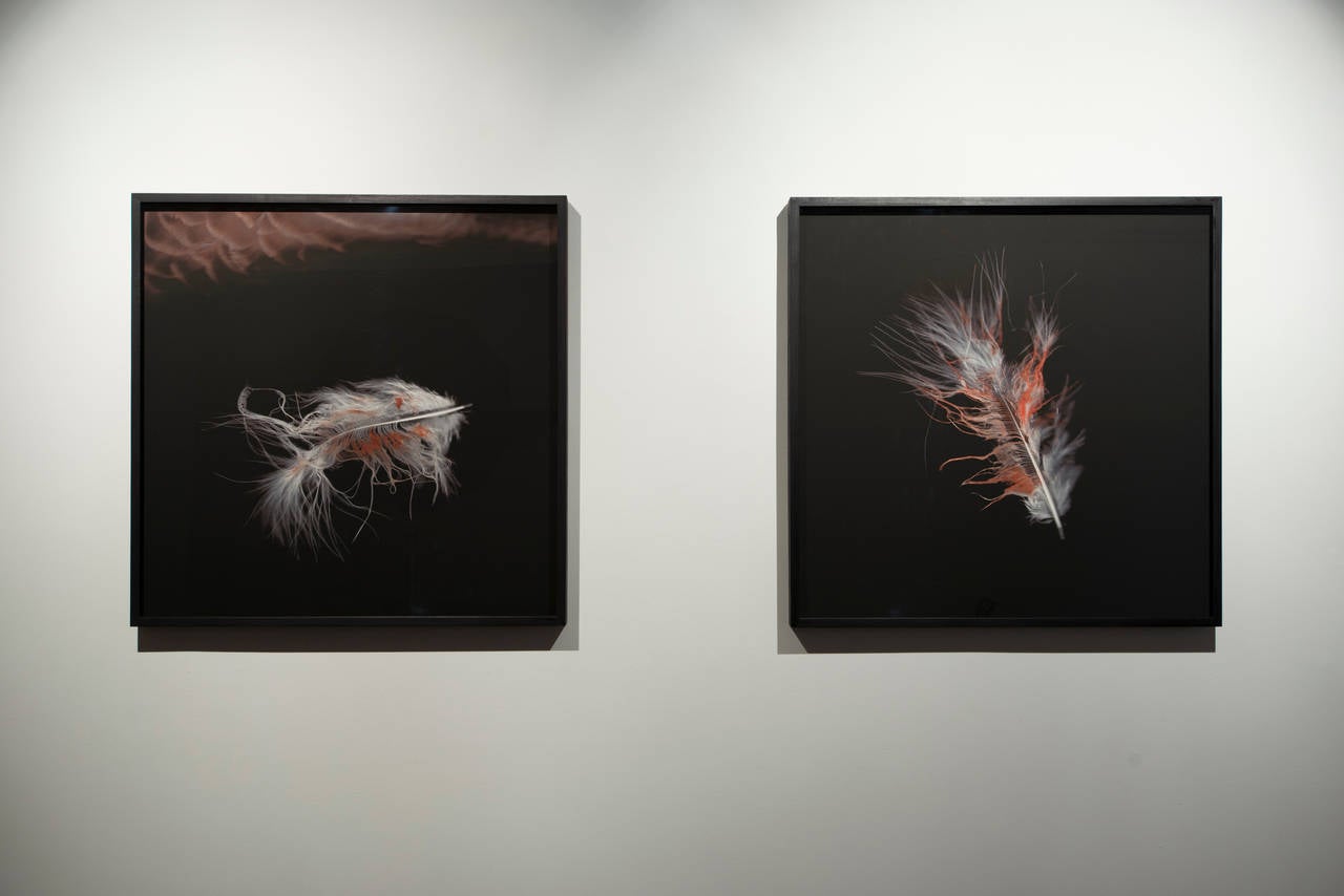 für intérieur - sang 1 – Photograph von Patrick Beaulieu