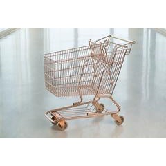 Shopping Cart 12